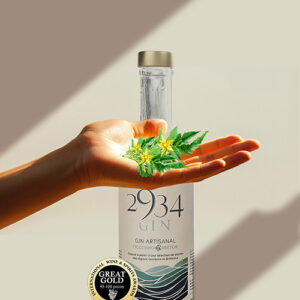 Gin 2934 - Artisanal Occitano-Breton en bouteille