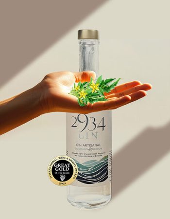 Bouteille de gin artisanal 2934